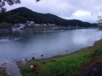 DSC00941