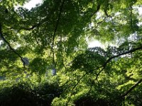 DSC00975