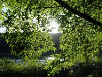 DSC00976