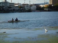 DSC00979