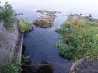 DSC00973