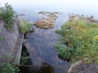 DSC00994