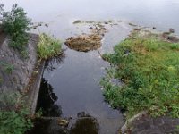 DSC01006