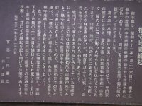 DSC01010