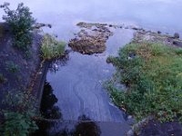 DSC01024