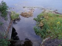 DSC01072
