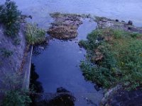 DSC01077