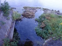 DSC01091