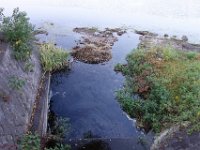 DSC01159