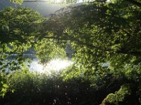 DSC01165