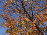 DSC01227