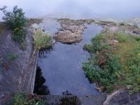 DSC01241