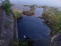 DSC01307