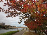DSC01315