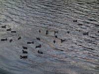 DSC01398