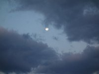 DSC01414