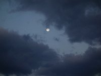 DSC01414X