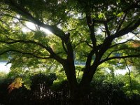 DSC01415
