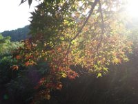 DSC01416
