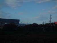 DSC01491