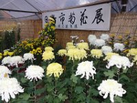 DSC01495