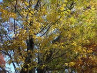 DSC01500