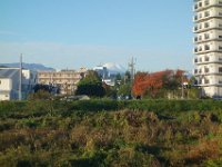 DSC01553