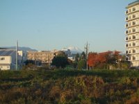DSC01584