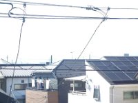 DSC01587