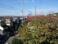 DSC01590
