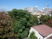 DSC01591