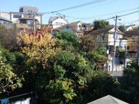 DSC01593