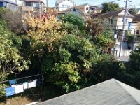 DSC01600