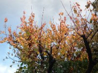 DSC01608