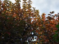 DSC01609