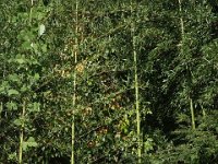 DSC01700