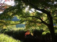 DSC01708