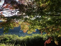 DSC01709