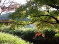 DSC01820