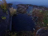 DSC01831