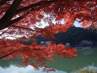 DSC01927