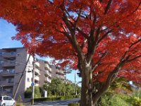 DSC01929