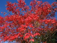 DSC01949