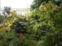 DSC01977