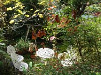 DSC01978
