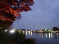 DSC01987
