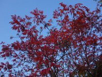 DSC02065