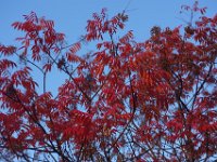 DSC02068