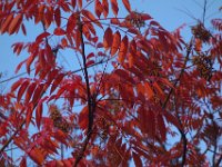 DSC02069