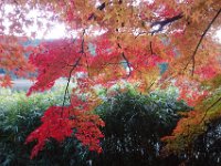 DSC02179
